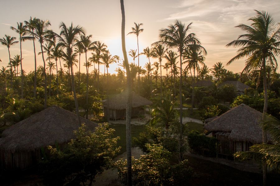 Sonhos de telepatia e ócio