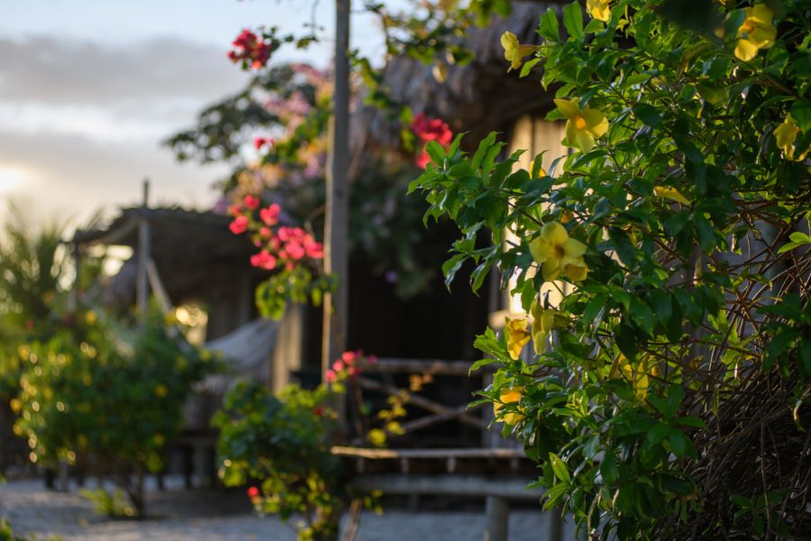 O tempo de transição antropocênico